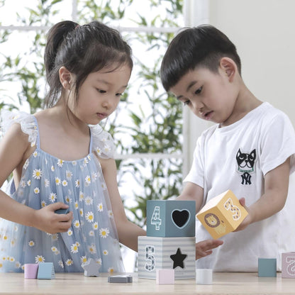 Nesting & Stacking Blocks-Viga