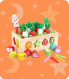 Educational Toys