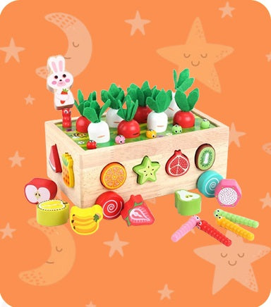 Educational Toys